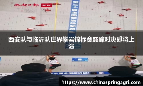 b体育官方网站