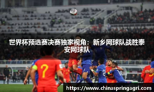 世界杯预选赛决赛独家视角：新乡网球队战胜泰安网球队