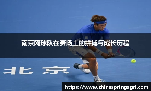 南京网球队在赛场上的拼搏与成长历程