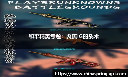 和平精英专题：聚焦IG的战术